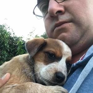 Meet your Posher, Brendon j